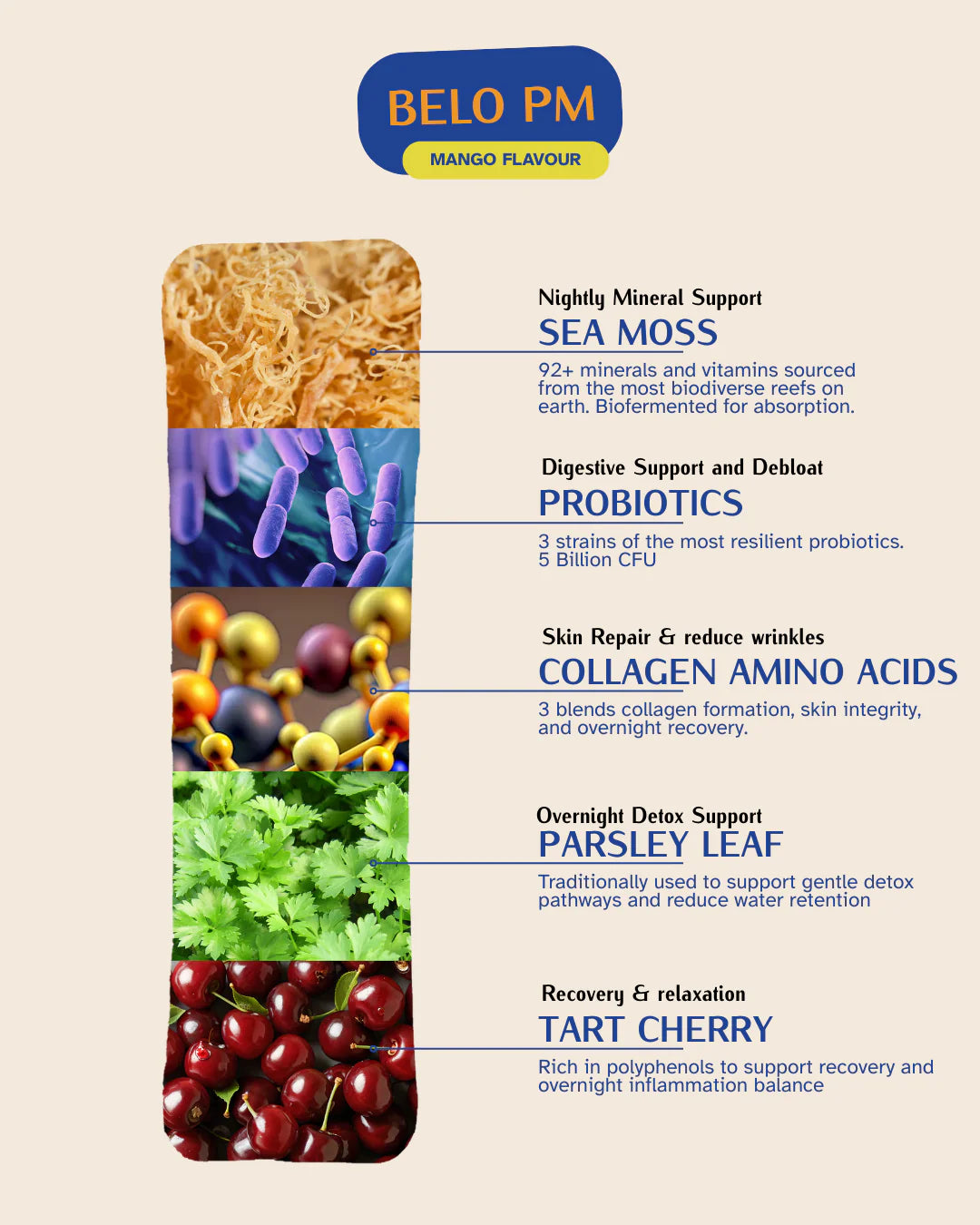 Bio-Fermented Sea Moss On the Go