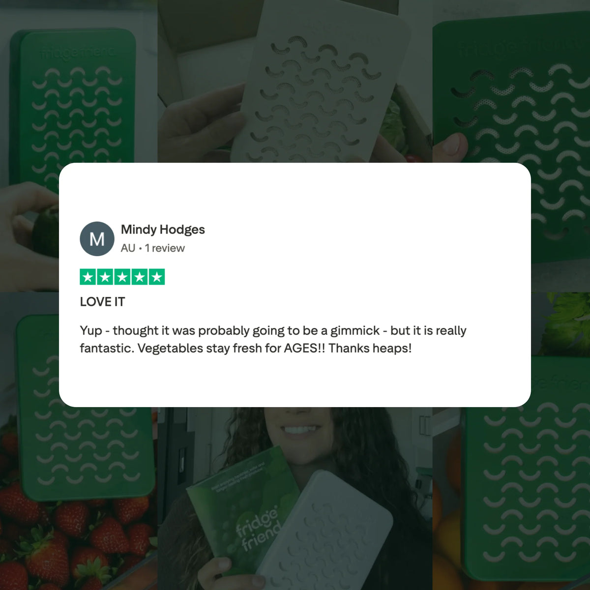 Fridge Friend® — Natural Fridge Freshness Filter