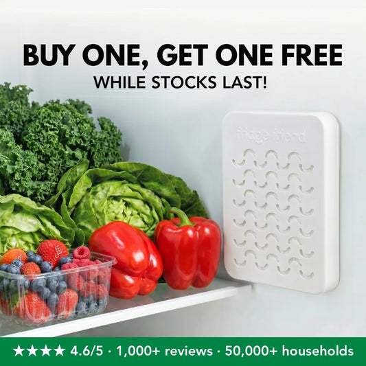 Fridge Friend® — Natural Fridge Freshness Filter